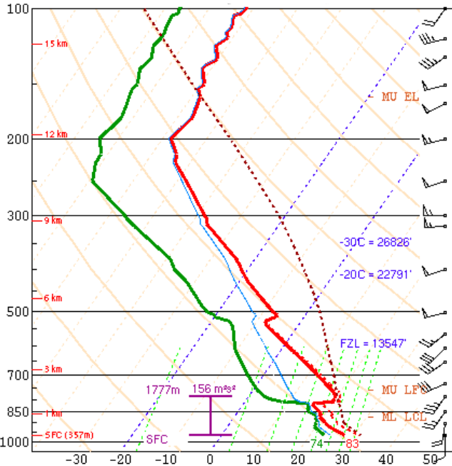 A Skew-T Log-P diagram for pilots showing temperature, dewpoint, and wind data through the atmosphere